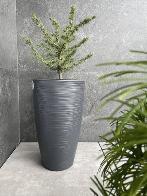 Zdjęcie produktu dla Gobi Slim 40 tworzywo sztuczne antracyt Wysokość 58 cm Średnica 38,5 cm Pojemność 51 L