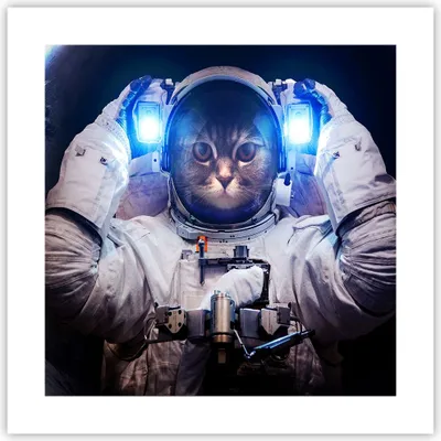 Produktbild von Poster - Poster ohne Rahmen - Kosmonaut Katze - 40x40 cm - Wand Bild - Wanddeko - Wandbilder - Kunstposter - Wandposter - Bilder - Kunstdruck - Wanddekoration - Wandbild - P2XAC40x40-3734