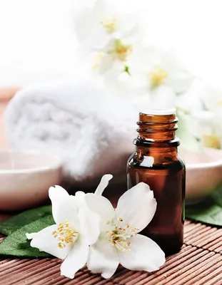 Produktbild von Naturreine, ätherische Öle; Muskatellersalbeiöl, 50 ml incl. 32seitige Broschüre