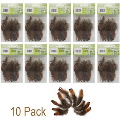 Produktbild von 10-Pack Federn zum Basteln und Schmücken (5-10cm) / Braun mit schwarzen Spitzen