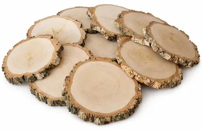 Produktbild von Holzscheiben 10–12 / 1 cm, Birke, grob geschliffen, mit Rinde, 10er-Set