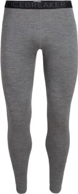 Produktbild von Icebreaker Merino 260 Tech Leggings Grau S Herren Grau S