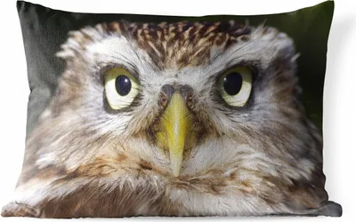 Produktbild von MuchoWow® Outdoor Kissen - Nahaufnahme einer braunen Eule - 60x40 cm - Wetterfest - Lounge Kissen - Zierkissen - Kissen für Innenräume