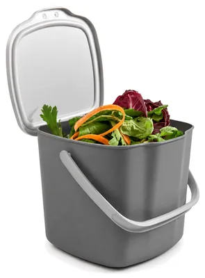 Immagine prodotto di Contenitore per rifiuti organici Snips, bidone per compostaggio, contenitore per rifiuti della cucina con coperchio e maniglia, capacità 3L, per rifiuti organici