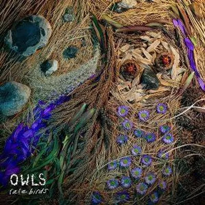 Produktbild von Rare Birds