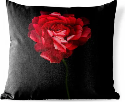 Produktbild von MuchoWow® Outdoor Kissen - Eine rote Butterblume mit schwarzem Hintergrund - 45x45 cm - Wetterfest - Lounge Kissen - Fotokissen - Dekoratives Kissen