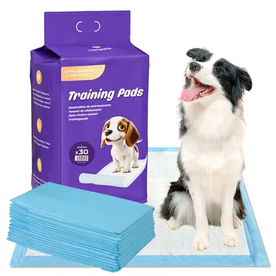 Produktbild von Nanipets® 30 x Absorbierende Trainingsunterlagen  Welpenunterlagen, Trainingspads Für Hunde, Super Saugfähig, Pet Pad, Welpen Unterlagen L 60 * 60 cm