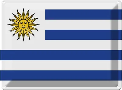 Produktbild von vianmo Blechschild 30x40 cm Uruguays Uruguay Flagge Fahne Wappen