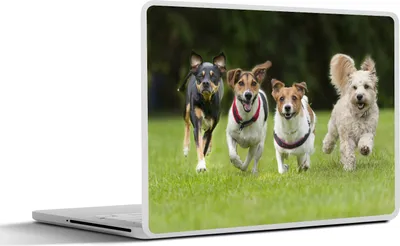 Produktbild von MuchoWow® Laptop Aufkleber Sticker Cover Eine Gruppe von Welpen läuft über ein Feld 25x18 cm - Laptop-Deko