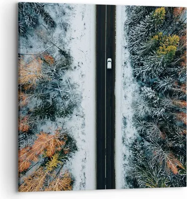 Produktbild von Bild auf Leinwand - Leinwandbild - Einteilig - Wald Weg Schnee - 70x70cm - Wand Bild - Wanddeko - Wandbilder - Leinwanddruck - Bilder - Wanddekoration - Leinwand bilder - Wandbild - AC70x70-4654