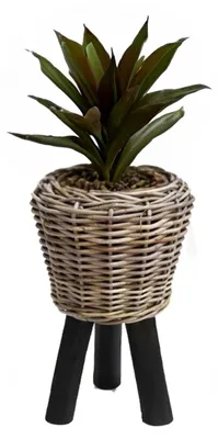 Produktbild von Pflanzen-/Blumenkorb auf Beinen - Rattan geflochten - D27 x H42 cm - Pflanztopf - Blumentopf