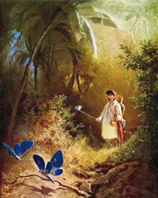 Produktbild von Carl Spitzweg Kunstdruck Bild - Der Schmetterlingsjäger, 1840 (50 x 40 cm)