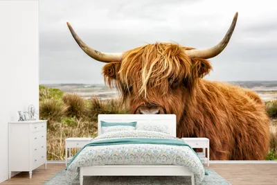 Produktbild von MuchoWow® Fototapete für Wohnzimmer oder Schlafzimmer Wandtapete Vinyl Motivtapete Schottischer Highlander - Kuh - Dünen - 450x300 cm - Gemusterte