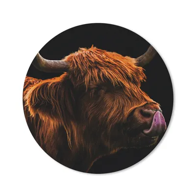 Produktbild von MuchoWow® Mauspad Mousepad Schottischer Highlander - Zunge - Nase 30x30 cm - Mousepads - Maus Mat - Pad - Mausunterlage - Tischunterlage - Schreibtischmatten