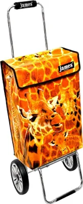 Obrázek produktu pro Nákupní vozík James - GIRAFFEN - robustní nákupní vozík s individuálním designem - jednobarevný: oranžový v provedení: Chrome19