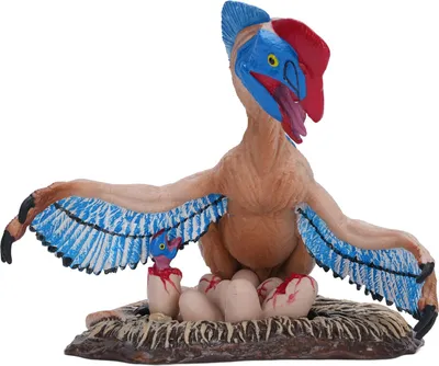 Produktbild von Oviraptor Dinosaurier-Spielzeug, realistisch, lebensecht, hochdetailliert, pädagogische Figur, Dino-Modell für Kinder, Blau