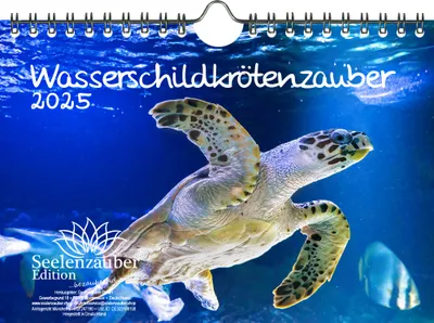 Produktbild von Wasserschildkrötenzauber DIN A5 Wandkalender für 2025 Wasserschildkröten - Seelenzauber