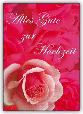 Produktbild von 5er Set Hochzeit Gratulationskarten mit rosa Rosen