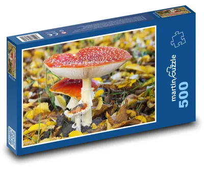 Produktbild von Puzzle 500 Waldpilzflut - martinpuzzle