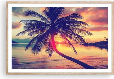 Produktbild von Gerahmtes Poster - Rahmen in heller Eiche - Meer Strand Palme - 91,5x61 cm - Wand Bild - Wanddeko - Wandbilder - Wandposter - Bilderrahmen - Bilder - Kunstdruck - Wandbild - P2NAA91x61-3925