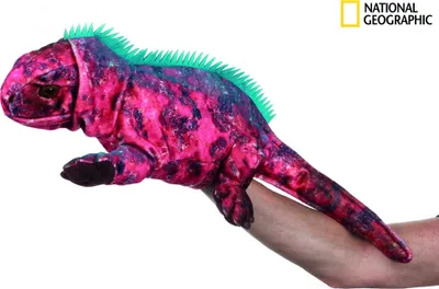 Obrázok produktu pre National Geographic maňásek Leguán