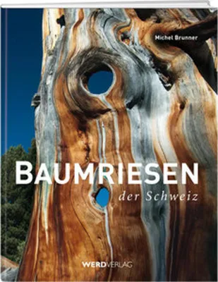 Produktbild von Baumriesen der Schweiz