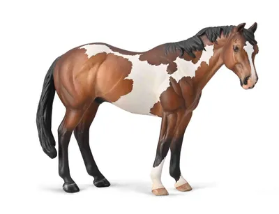 Image de COLLECTA Étalon Appaloosa Bay Overo Paint