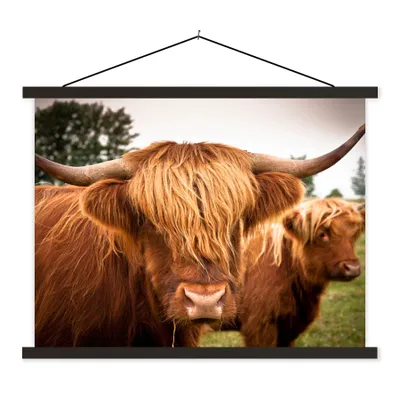 Produktbild von MuchoWow® Textilposter Schottische Highlander - Braun - Gras 120x90 cm mit schwarzem Rahmen - Aufhänger für Poster