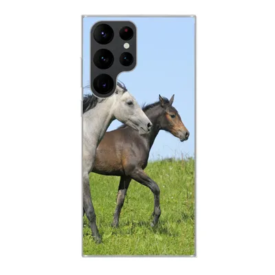 Produktbild von MuchoWow® Handyhülle Schutzhülle Hülle für Samsung Galaxy S22 Ultra Pferde - Tiere - Gras Silikon Softcase Handy Hülle - Abbildung