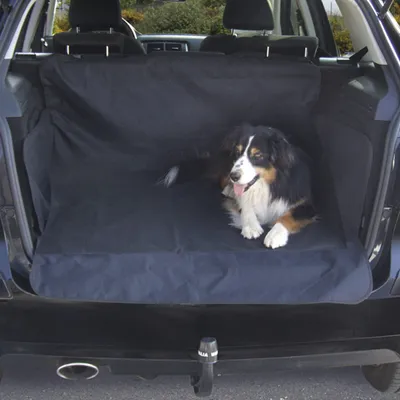Produktbild von Dino Autoschutzdecke für Hunde Auto Decke Autodecke Hundedecke Autoschondecke