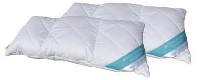 Produktbild von 2 Stück Betten Hofmann Spezialkissen 3-Kammer Kissen 40x80 cm mit Reißverschluss