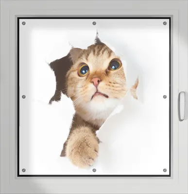Produktbild von Wallario Lichtschutzbild, Dekorativer Sichtschutz Sonnenschutz 96 x 93 cm mit Motiv: Katze mit Blick nach oben - Verdunklung ohne Bohren
