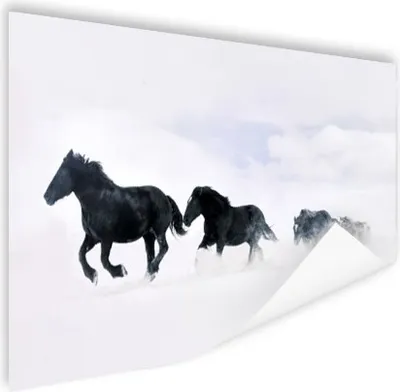Produktbild von MuchoWow® Poster Schwarzes Pferd im Schnee 120x80 cm - Bilder