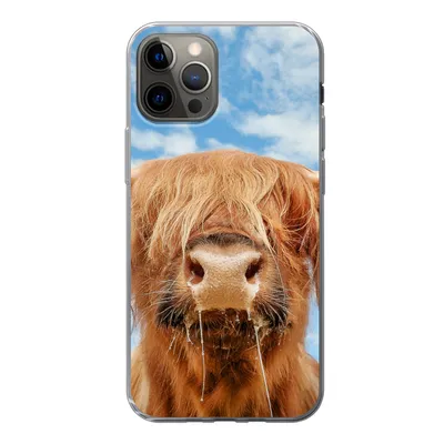 Produktbild von MuchoWow® Handyhülle Schutzhülle Hülle für iPhone 12 Pro Schottischer Highlander - Wolke - Tiere Silikon Softcase Handy Hülle - Abdeckung