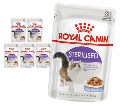 Zdjęcie produktu dla Royal Canin FHN Sterilised W Sosie i Galaretce 6x85g Mokra Karma Dla Kotów Sterylizowanych