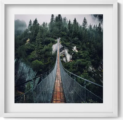 Produktbild von Hängebrücke über einen Wald– Wandbild mit Rahmen – Gerahmtes Bild  – Wanddekoration – 50x50 cm –  Weiß Rahmen