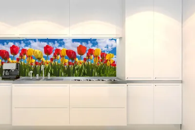 Obrázek produktu pro Fototapeta do kuchyně - Pole tulipánů 180 x 60 cm - Samolepicí fólie