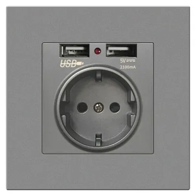 Obrázok produktu pre Stenná zásuvka s 2 USB portmi Techstar® TS-PC, 110-250V, 16A, ťažko horľavá, 86x86mm, sivá