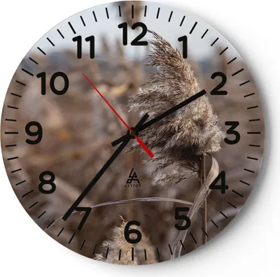 Produktbild von Wanduhr - Rund - Glasuhr - Boho Ähren Gras - 30x30cm - Schleichendes Uhrwerk - Lautlos - zum Aufhängen bereit - Dekoration Modern - Wanddekoration aus Glas - C4AR30x30-4763