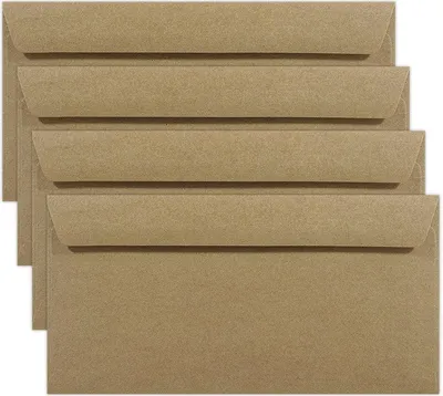 Image de DL NK EKO Enveloppes kraft brunes 100g - 25pcs