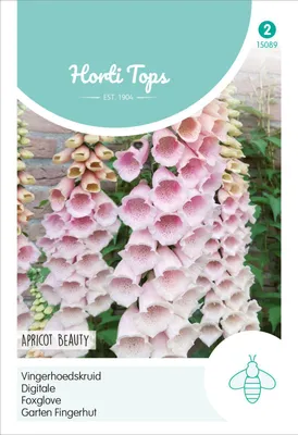 Zdjęcie produktu dla Naparstnica Apricot Beauty | Nasiona naparstnicy od Hortitops