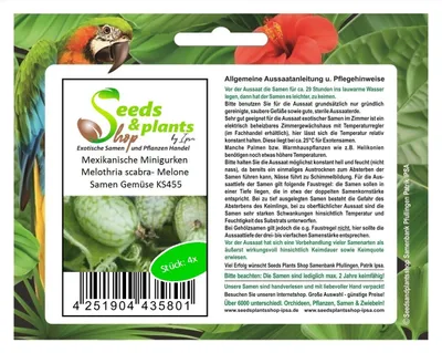 Produktbild von 4x Mexikanische Minigurken Melothria scabra- Melone Samen Gemüse KS455