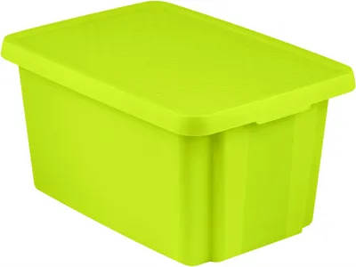 Productafbeelding van Opbergbox ESSENTIALS 45 liter met deksel, groen