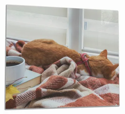 Produktbild von Wallario Herdabdeckplatte aus Glas, Größe 60 x 52 cm 1-teilig, Motiv Schlafende Katze beim Kaffeekränzchen