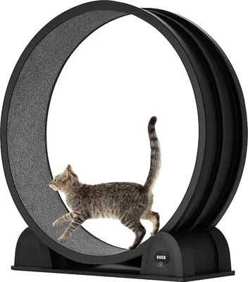 Image de Vélo d'entraînement pour chats, fonction podomètre, fonctionnement silencieux, noir