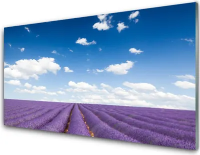 Produktbild von Küchenrückwand aus Glas 100x50cm Spritzschutz Wiese Blumen Natur
