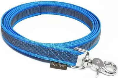 Produktbild von Mystique® Gummierte Leine 20mm ohne Handschlaufe Scherenkarabinerhaken blau 3m