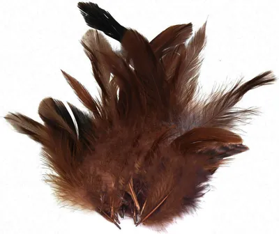 Produktbild von 20 Hühnerfedern 6-15cm Federn Bastelfedern Schmuckfedern Dekofedern Farbwahl, Farbe:rotbraun
