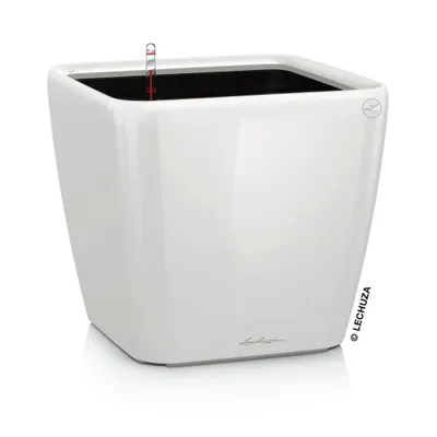 Obrázek produktu pro Sázecí květináč LECHUZA QUADRO Premium LS 21 White vysoký lesk | květináč se zavlažovacím systémem | vysoce lesklý povrch | 22,5 x 22,5 x 20,5 cm | 16120