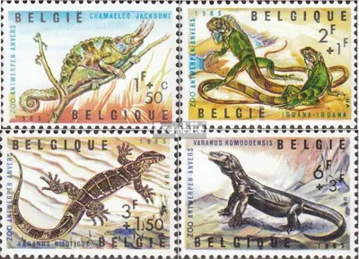 Produktbild von Briefmarken Belgien 1965 Mi 1401-1404 (kompl.Ausg.) postfrisch Reptilien